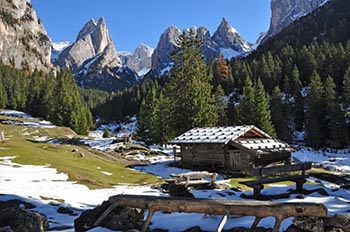 Con le ciaspole in Val Ciamin - Parco Naturale Sciliar - Catinaccio immagini\calendario\20180311_6.jpg